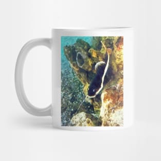 Fish - Catfish Swimming Forward Mug